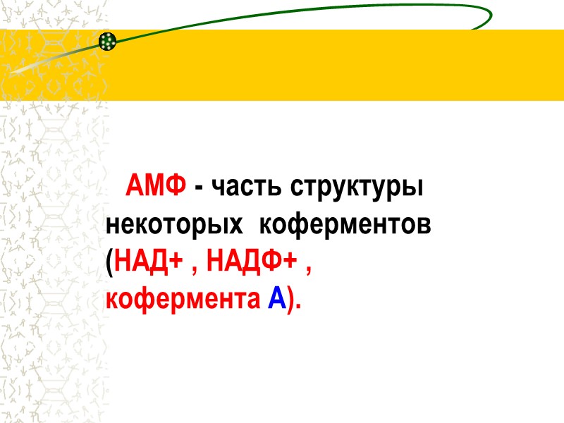 AMФ - часть структуры          